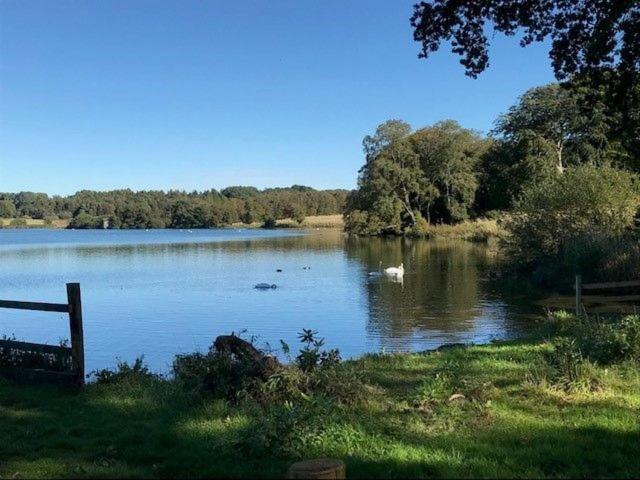 Waters Edge, Talkin Tarn, Nr Brampton Villa Brampton  Exterior photo